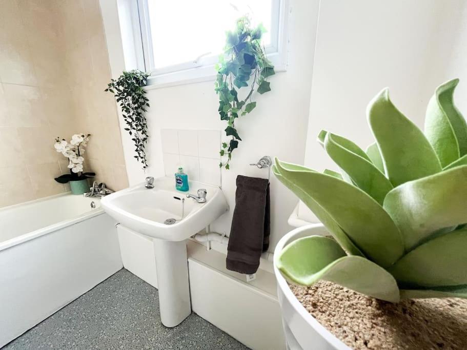 3 Bedroom House With Free Parking Chatham  Exteriér fotografie